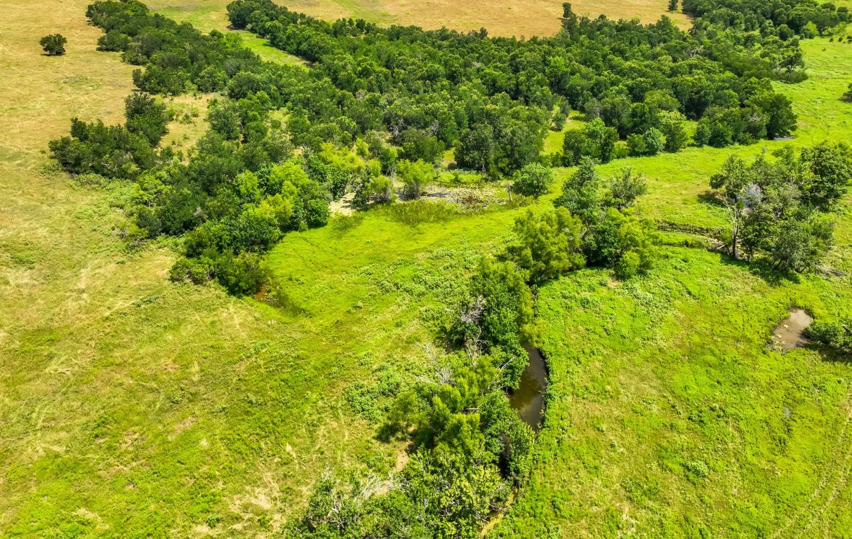 Winding Creek at the Back of the Property with Beautiful Trees draws an Abundance of Wildlife! You could possibly convert your Ag Status into Wildlife Status and enjoy the same tax break.