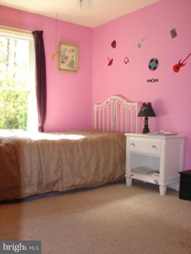 16940 Sprecher Road Sharpsburg, MD 21782 - Photo 16 of 30 Bedroom #1