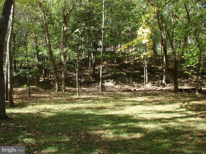 16940 Sprecher Road Sharpsburg, MD 21782 - Photo 23 of 30 Wooded View / Acreage 3