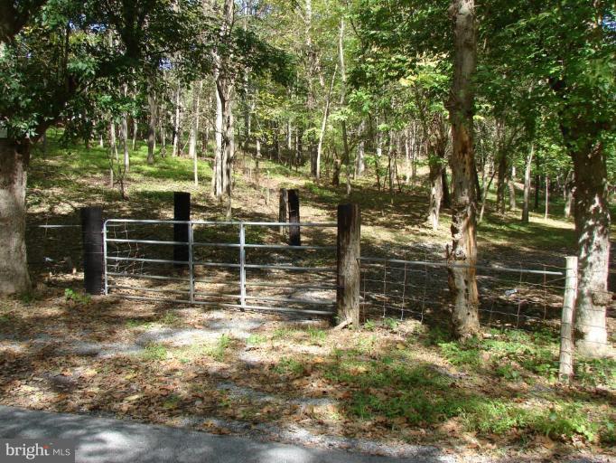 16940 Sprecher Road Sharpsburg, MD 21782 - Photo 24 of 30 Pasture