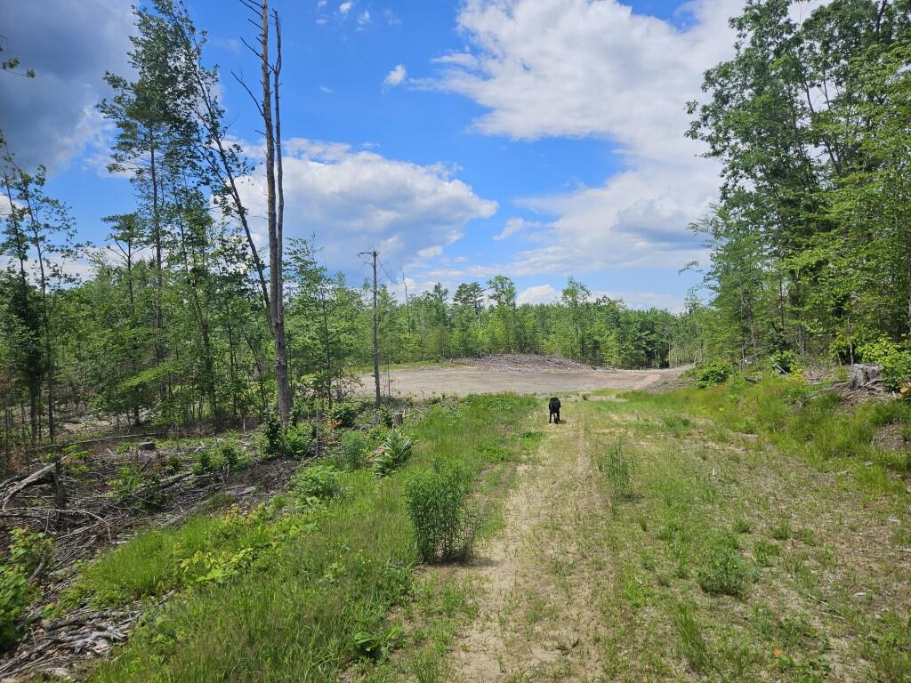 Multiple Quaker Ridge Road Leeds, ME 04263 - Photo 28 of 79 20260624_124540