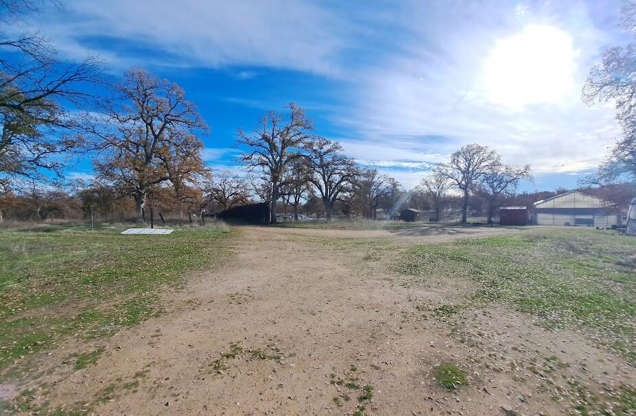 a view of a yard with an trees