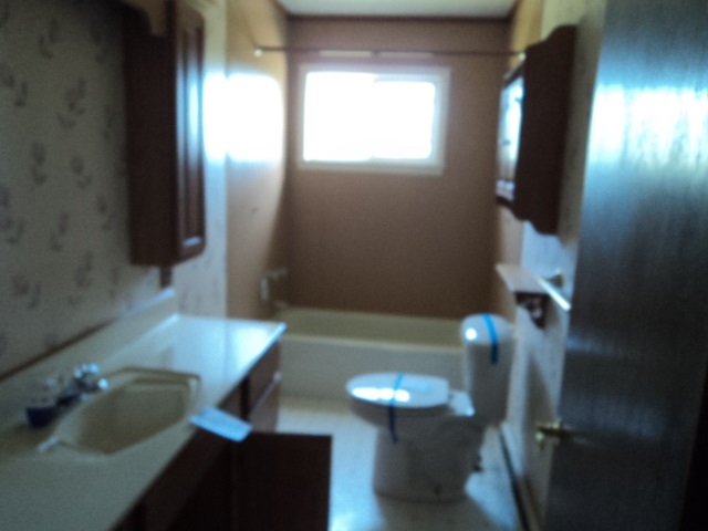 7262 Ora Lake Road Hale, MI 48739 - Photo 7 of 9 1834375-6.JPG