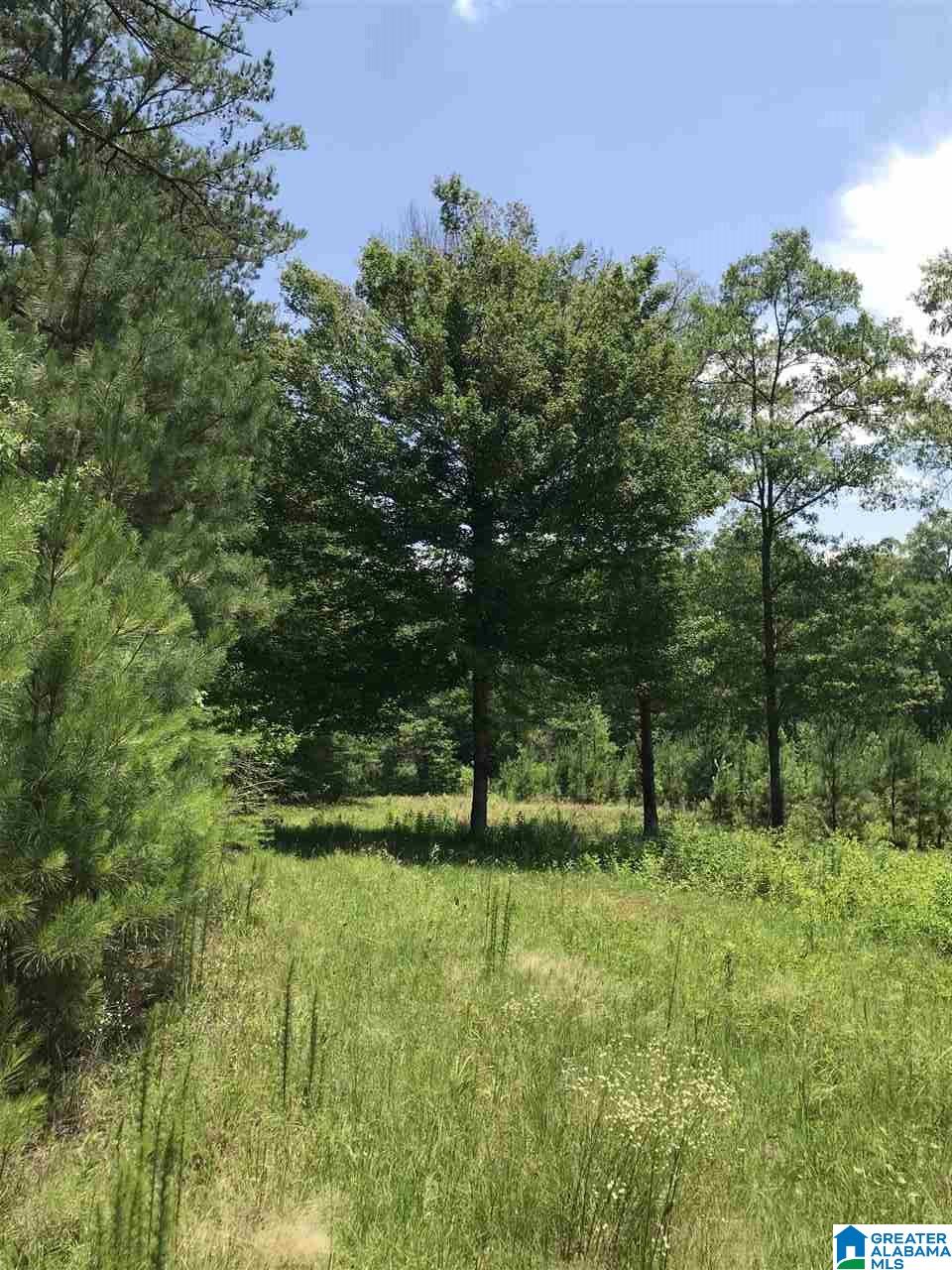 0 Highway 59 Vincent, AL 35178 - Photo 1 of 10