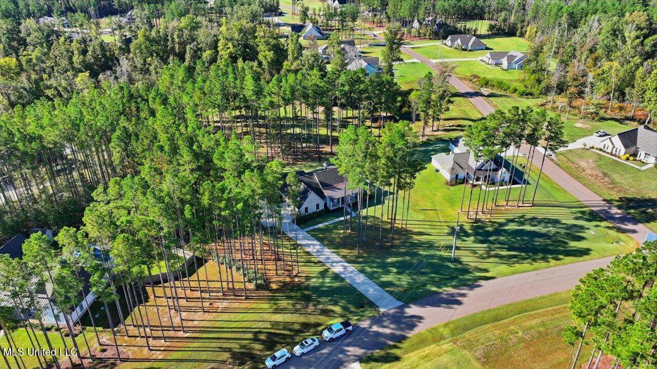 202 Lost Oak Lane Brandon, MS 39047 - Photo 54 of 75 54-202 Lost Oak Ln _ Home Tours MS