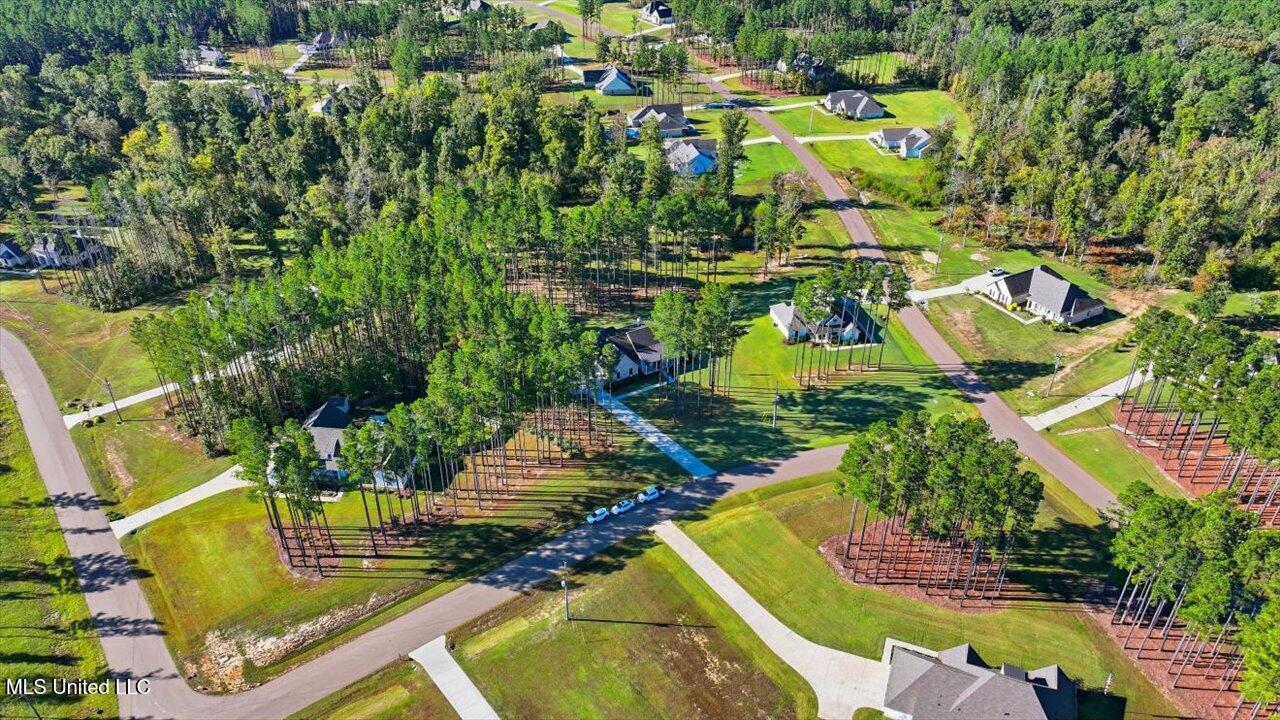 202 Lost Oak Lane Brandon, MS 39047 - Photo 55 of 75 55-202 Lost Oak Ln _ Home Tours MS