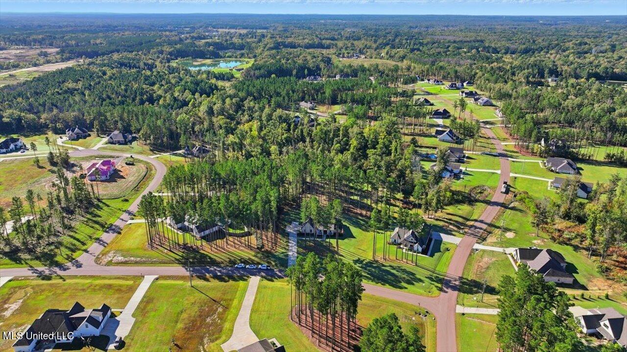 202 Lost Oak Lane Brandon, MS 39047 - Photo 59 of 75 59-202 Lost Oak Ln _ Home Tours MS