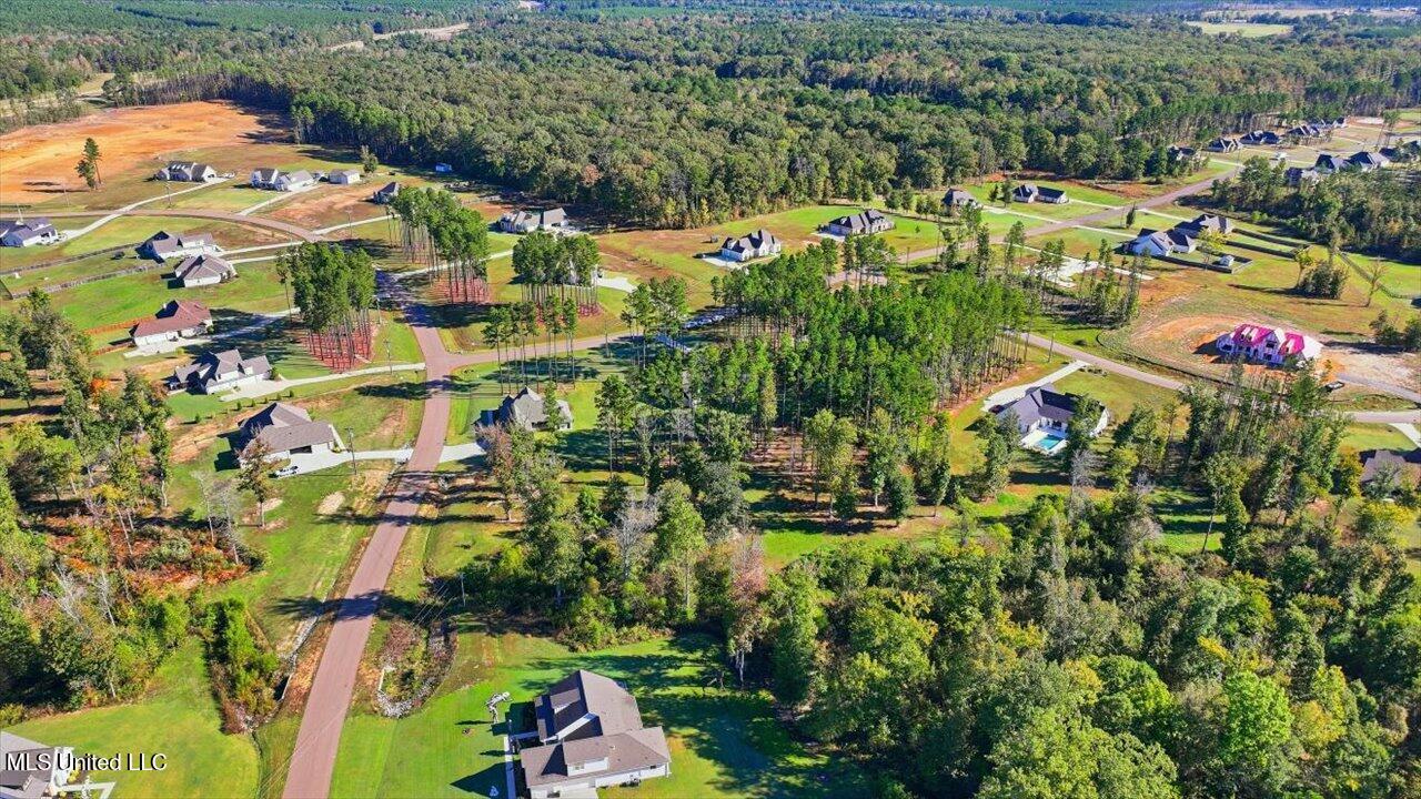 202 Lost Oak Lane Brandon, MS 39047 - Photo 64 of 75 64-202 Lost Oak Ln _ Home Tours MS