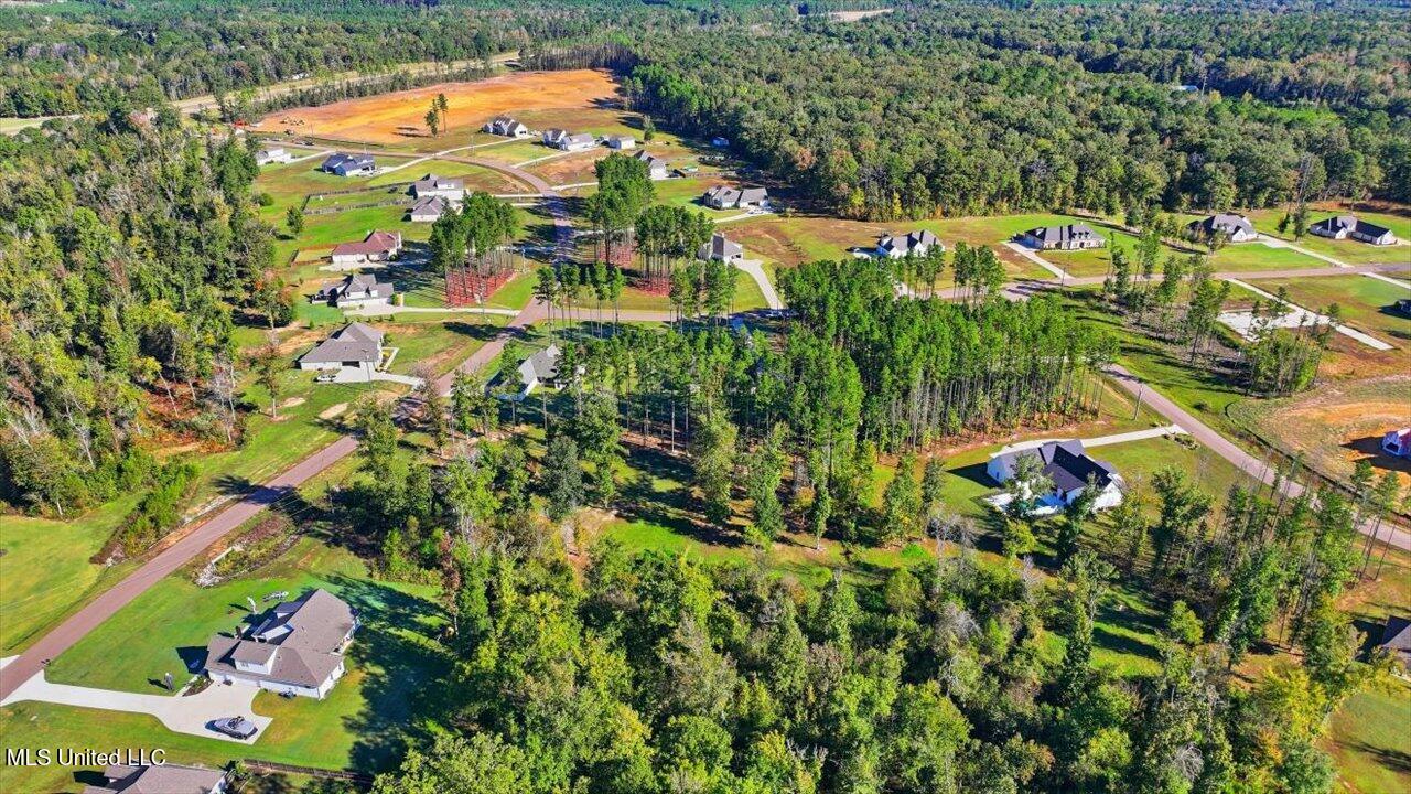 202 Lost Oak Lane Brandon, MS 39047 - Photo 65 of 75 65-202 Lost Oak Ln _ Home Tours MS