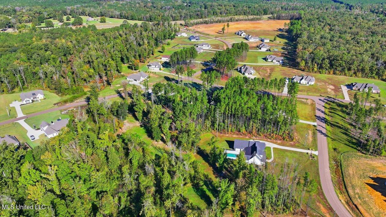 202 Lost Oak Lane Brandon, MS 39047 - Photo 66 of 75 66-202 Lost Oak Ln _ Home Tours MS
