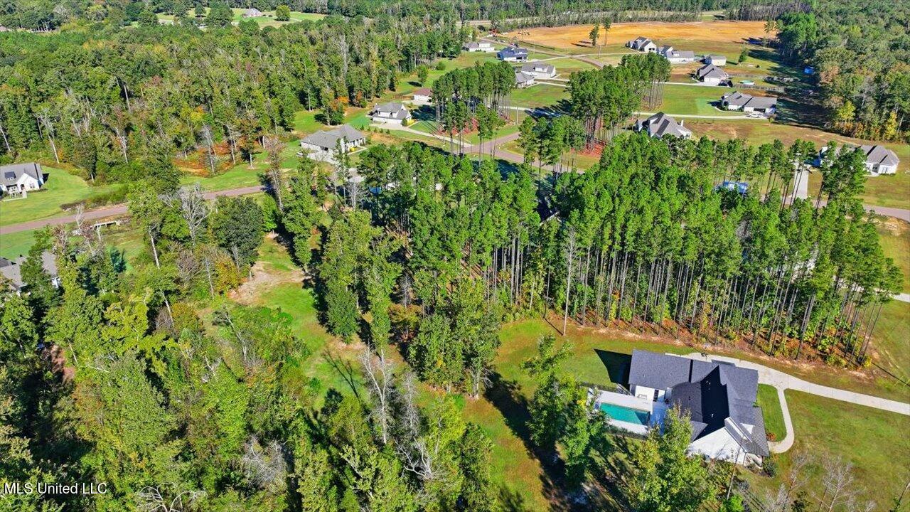 202 Lost Oak Lane Brandon, MS 39047 - Photo 67 of 75 67-202 Lost Oak Ln _ Home Tours MS