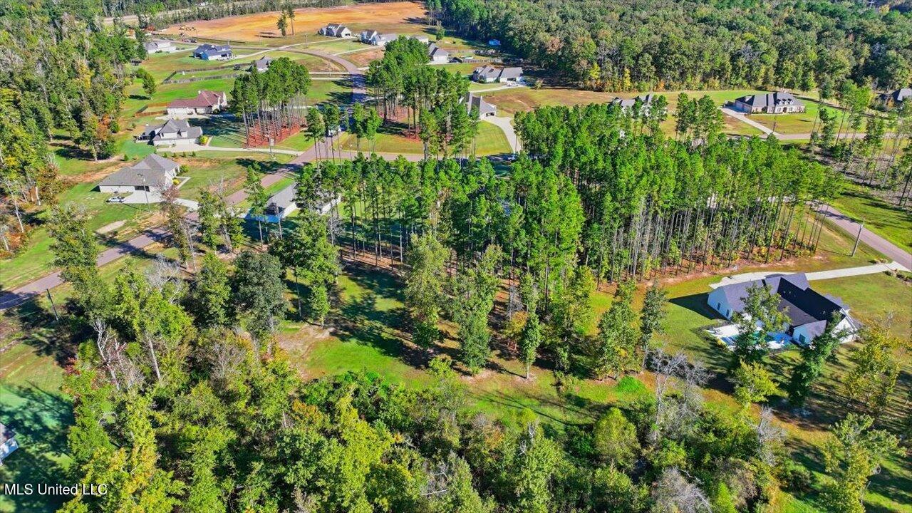 202 Lost Oak Lane Brandon, MS 39047 - Photo 68 of 75 68-202 Lost Oak Ln _ Home Tours MS