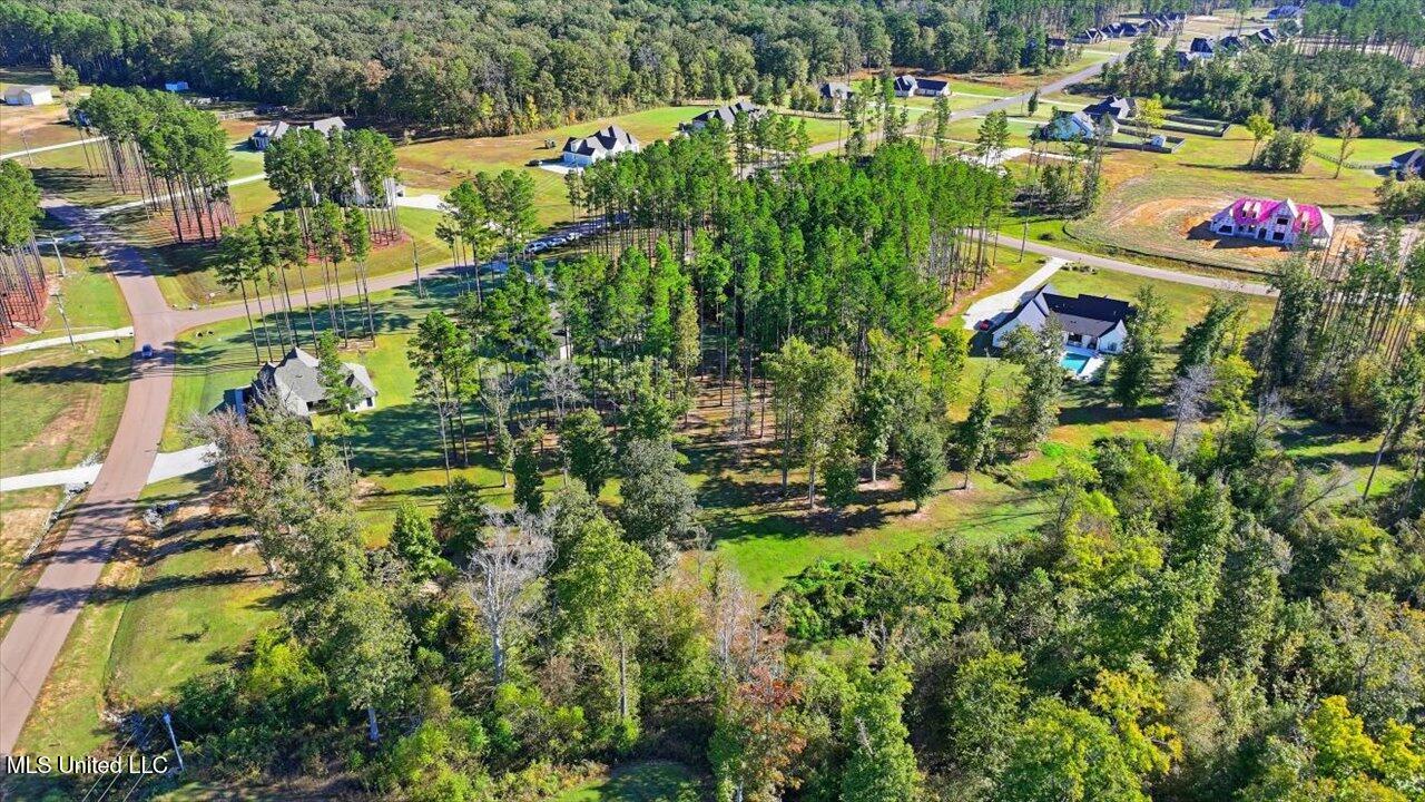 202 Lost Oak Lane Brandon, MS 39047 - Photo 69 of 75 69-202 Lost Oak Ln _ Home Tours MS