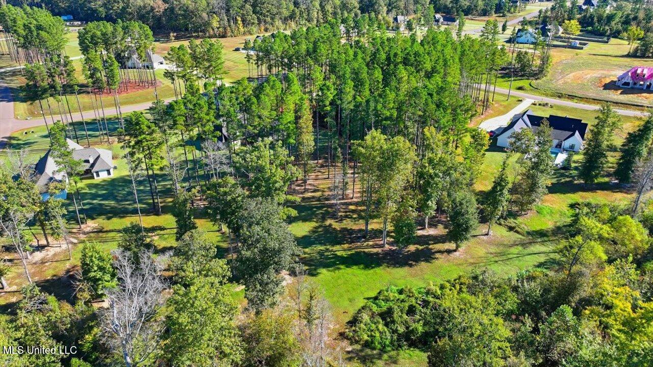 202 Lost Oak Lane Brandon, MS 39047 - Photo 70 of 75 70-202 Lost Oak Ln _ Home Tours MS