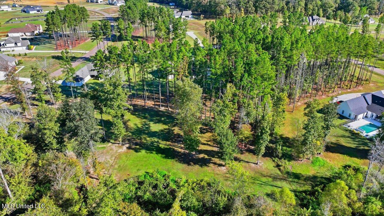 202 Lost Oak Lane Brandon, MS 39047 - Photo 71 of 75 71-202 Lost Oak Ln _ Home Tours MS