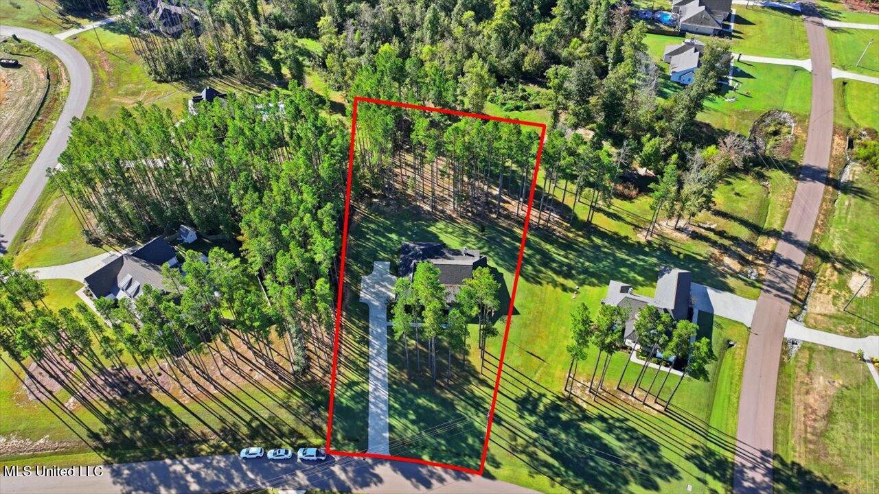 202 Lost Oak Lane Brandon, MS 39047 - Photo 75 of 75 Lot lines are visual only