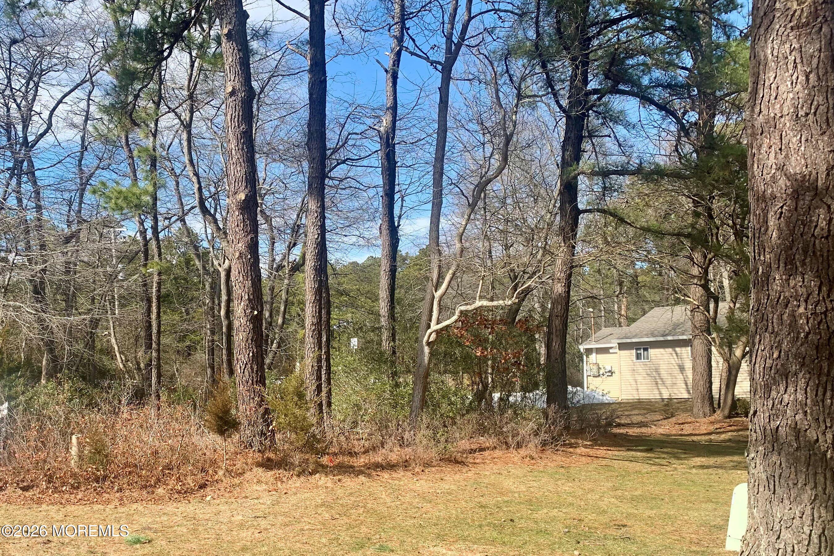 27 Amesbury Road, Unit 64 Whiting, NJ 08759 - Photo 39 of 50 a view of a yard covered with snow in the background