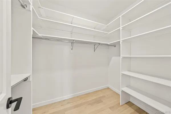 a view of an empty walk in closet
