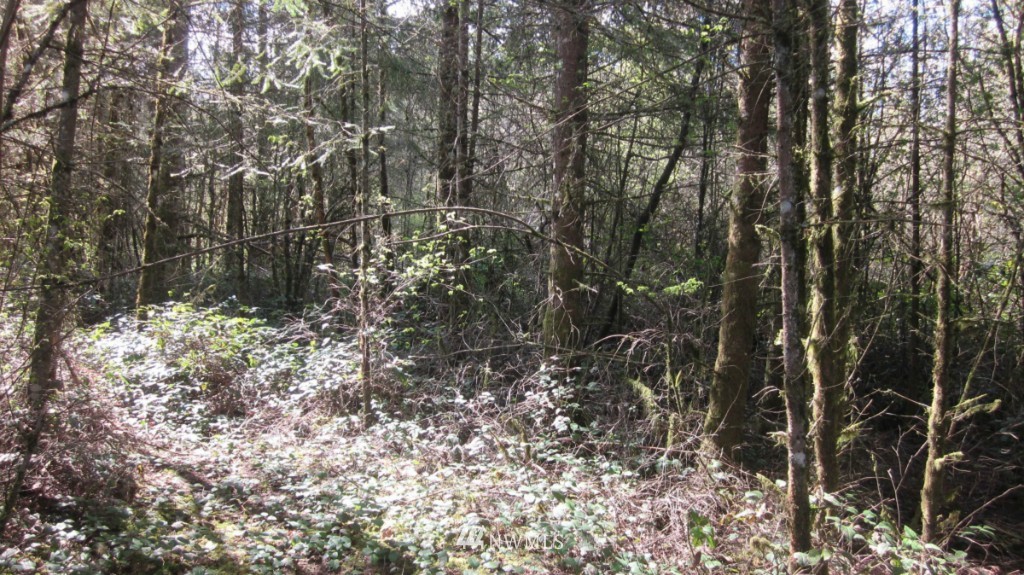 155 Tingle Road Winlock, WA 98596 - Photo 14 of 15