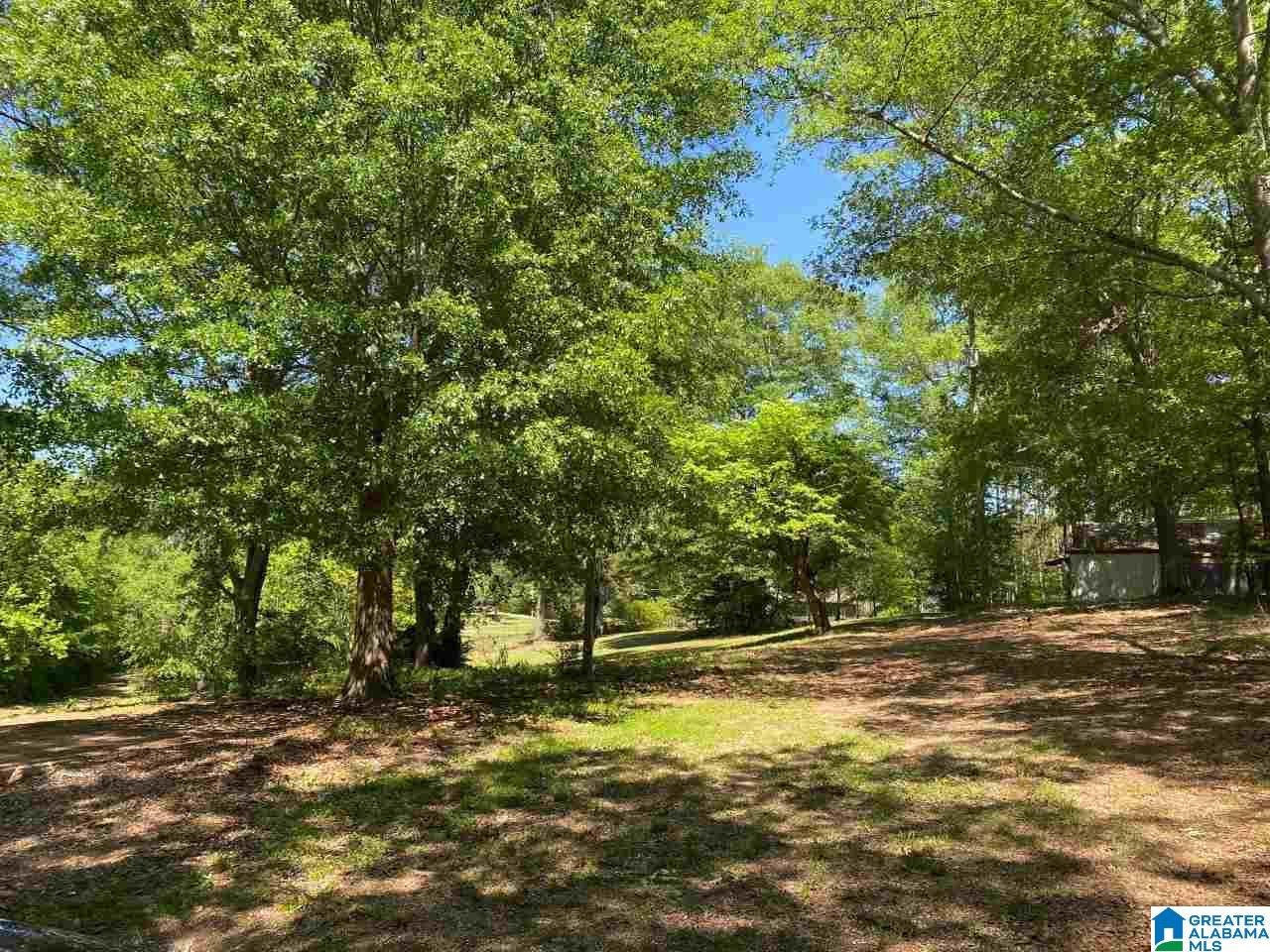 4412 Masters Road, Unit 1 Pell City, AL 35128 - Photo 5 of 10 Gallery Image 5