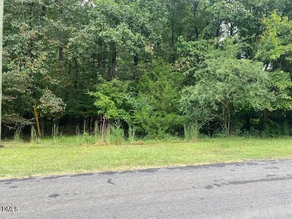 a view of a swimming pool with a yard