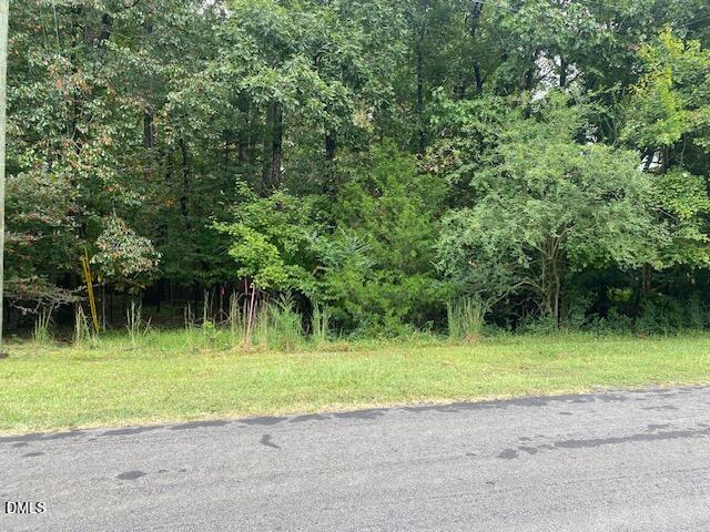 5514 Earl Road Durham, NC 27712 - Photo 3 of 4 a view of a swimming pool with a yard