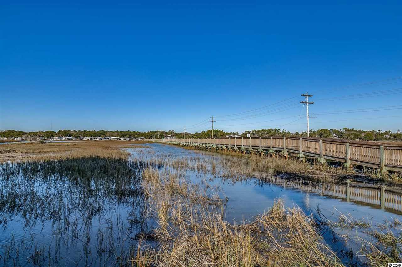 215 Atlantic Avenue, Unit 305 Murrells Inlet, SC 29576 - Photo 18 of 31 Gallery Image 18