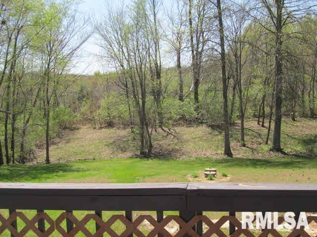 19367 East Fairfield Road Bluford, IL 62814 - Photo 27 of 30 Gallery Image 27
