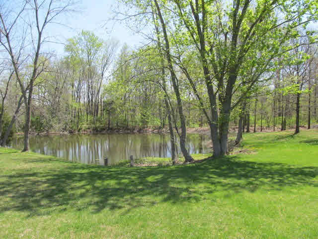 19367 East Fairfield Road Bluford, IL 62814 - Photo 28 of 30 Gallery Image 28