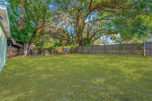 a view of a backyard with a large tree
