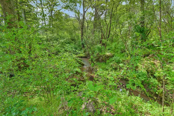 $439,000 | 137 Whirlwind Lane, Pikeville, TN 37367