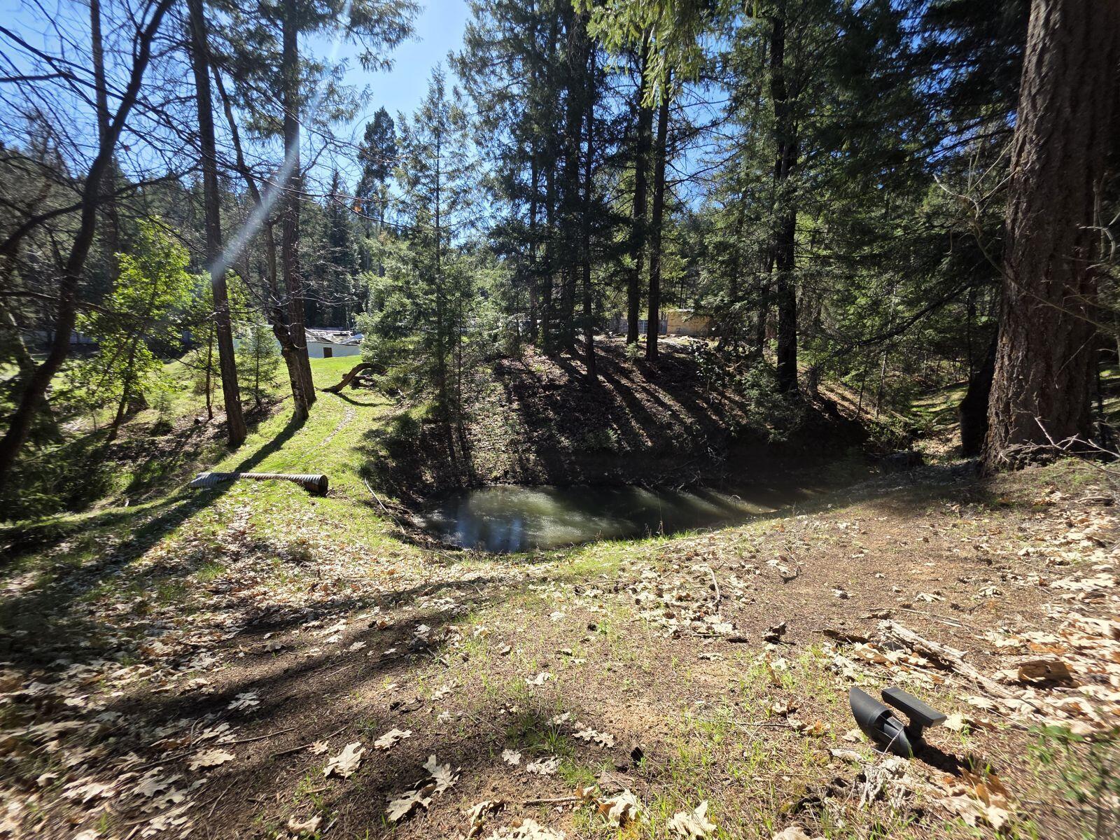 2141 Mc Alexander Road Hayfork, CA 96041 - Photo 24 of 29 mc24