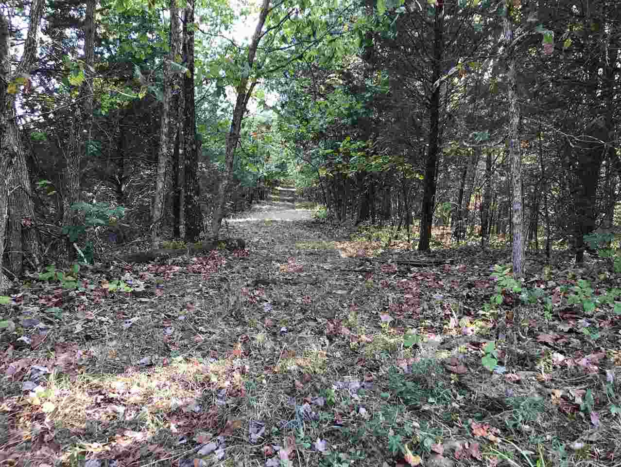 6.75-acres Liberty Ridge Road Falmouth, KY 41040 - Photo 6 of 21 Gallery Image 6