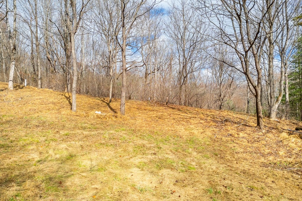 3.8-acre Dogwood Ridge, Unit 2B Fancy Gap, VA 24328 - Photo 20 of 39 Gallery Image 20