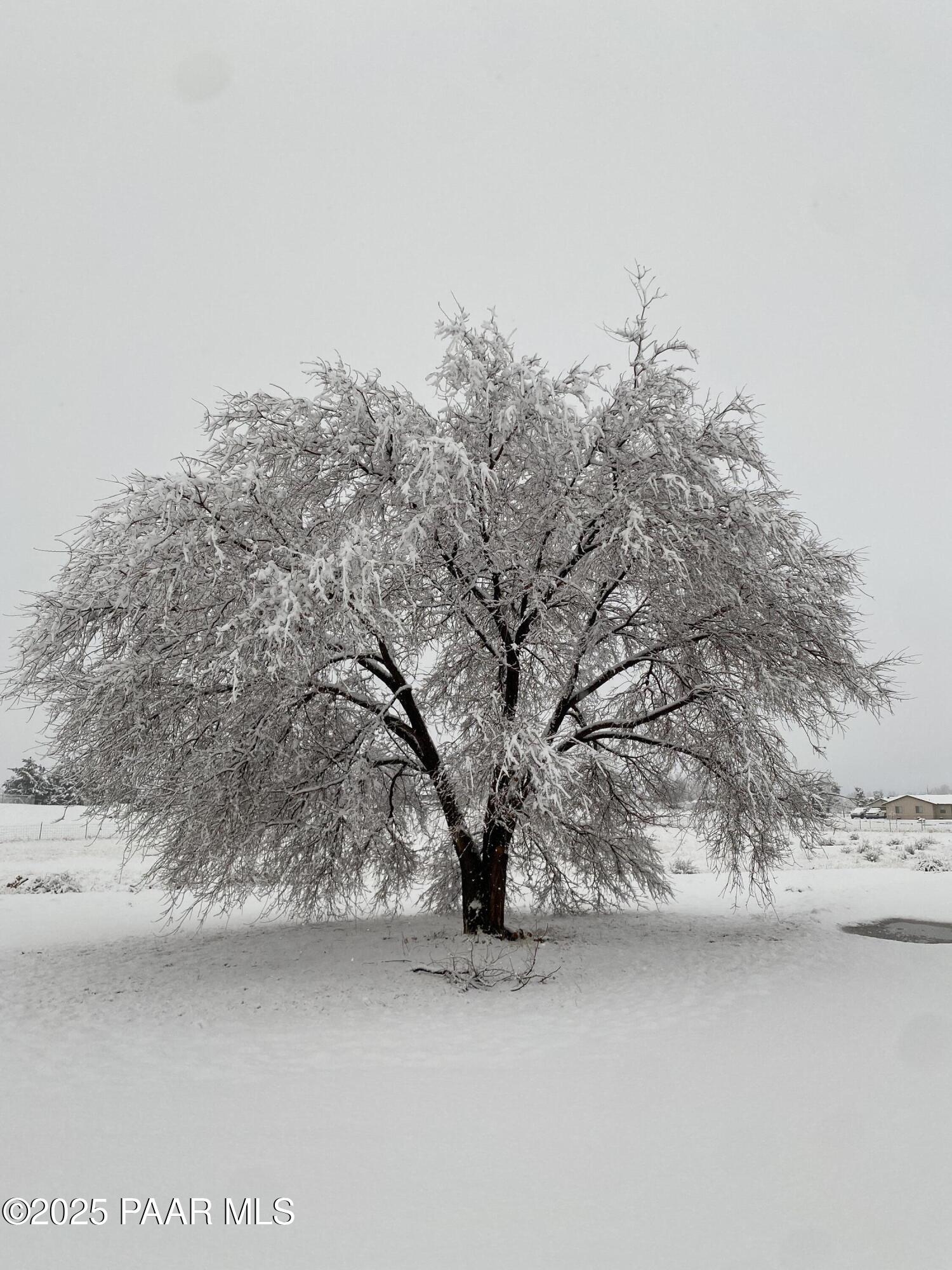 1740 West Bumblebee Road Chino Valley, AZ 86323 - Photo 41 of 44 a view of mountain view with large trees