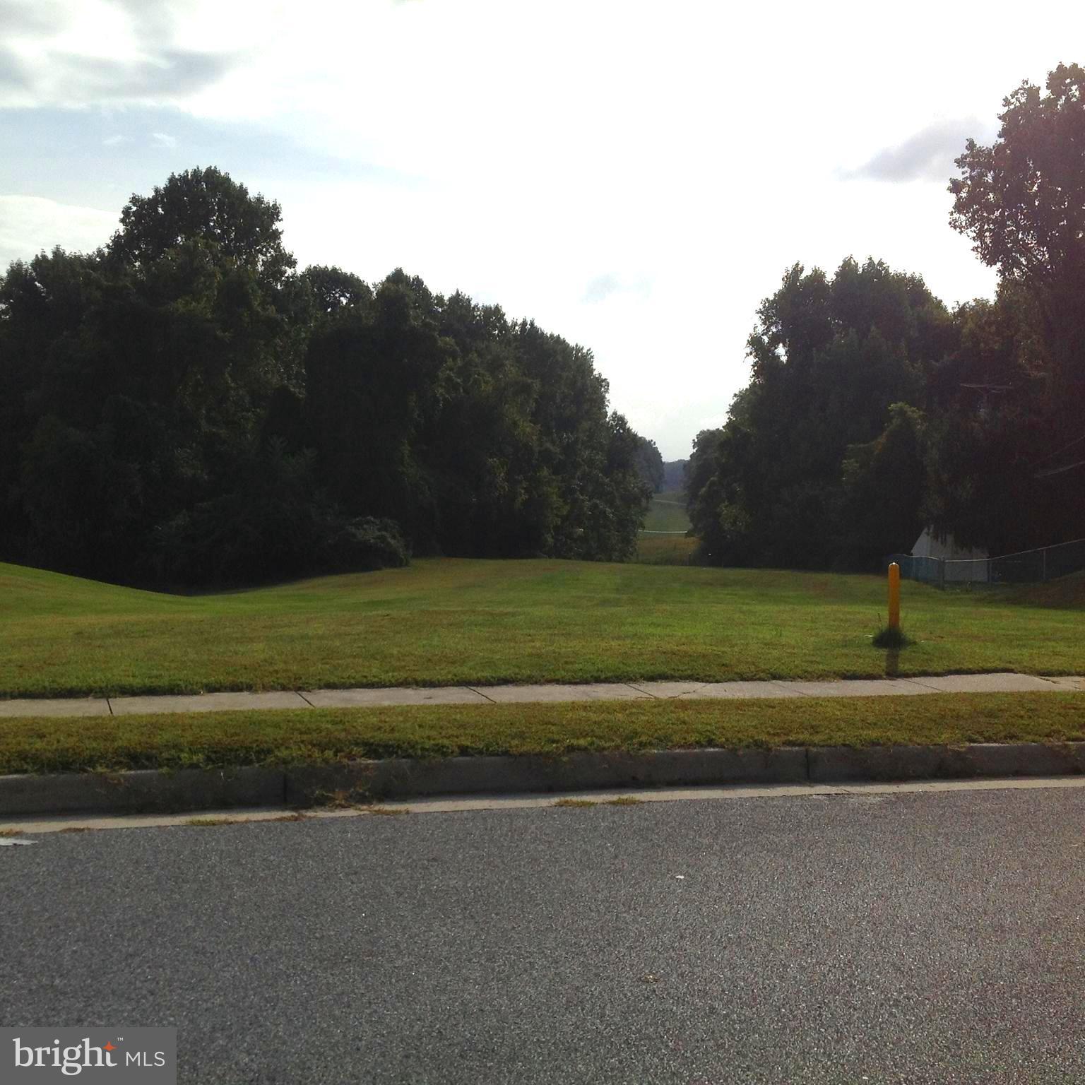 9806 Mendoza Road Randallstown, MD 21133 - Photo 25 of 26 Country setting