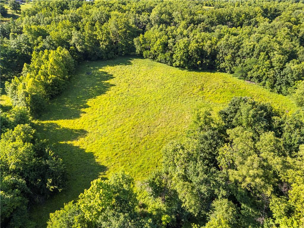 18184 South 1300th Road Nevada, MO 64772 - Photo 10 of 17