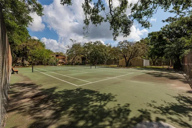 a view of a tennis ground with large trees