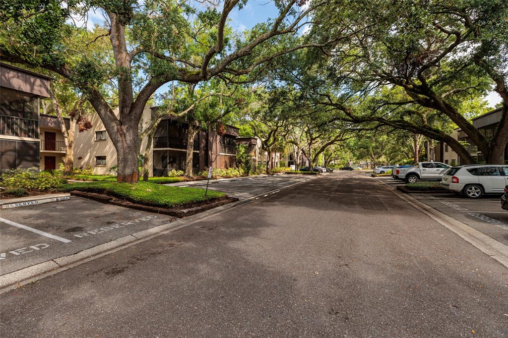 11708 Raintree Village Boulevard, Unit A Temple Terrace, FL 33617 - Photo 2 of 21 a view of street with parked cars
