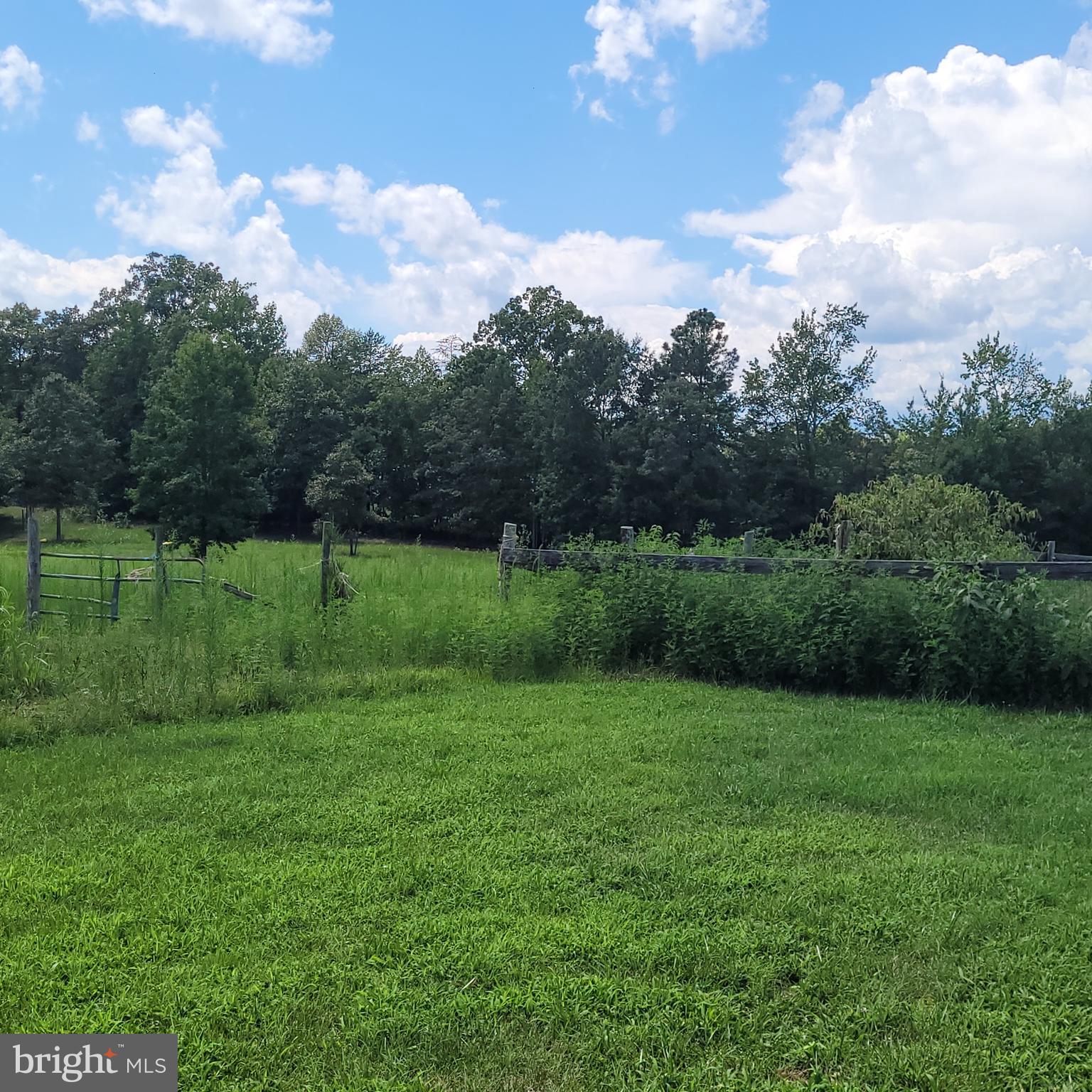 376 Mallory Road Louisa, VA 23093 - Photo 27 of 29