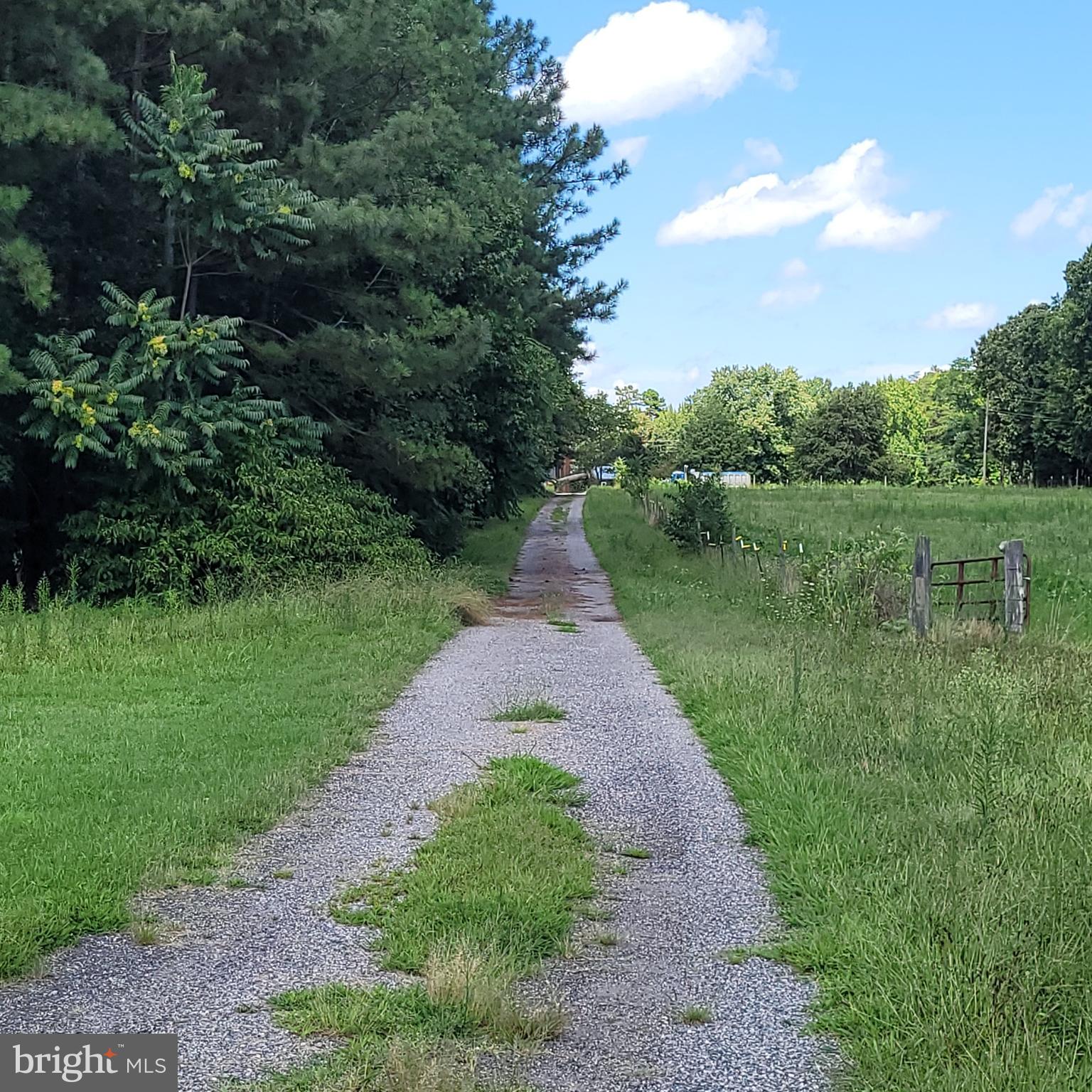 376 Mallory Road Louisa, VA 23093 - Photo 29 of 29 Driveway to Mallory Rd