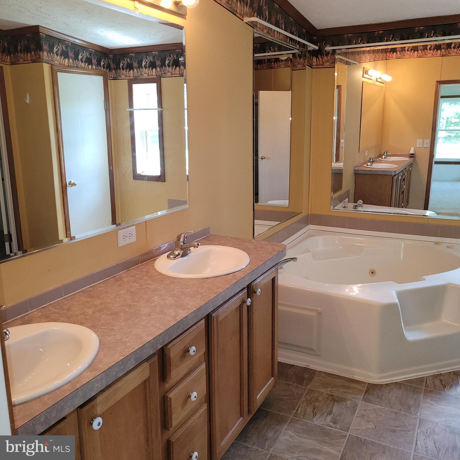 376 Mallory Road Louisa, VA 23093 - Photo 10 of 29 Primary bath with jetted tub