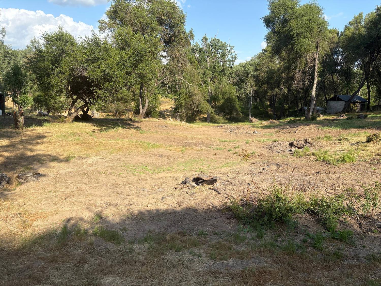 507 Chickasaw Road Coarsegold, CA 93614 - Photo 3 of 9 a view of yard covered with snow