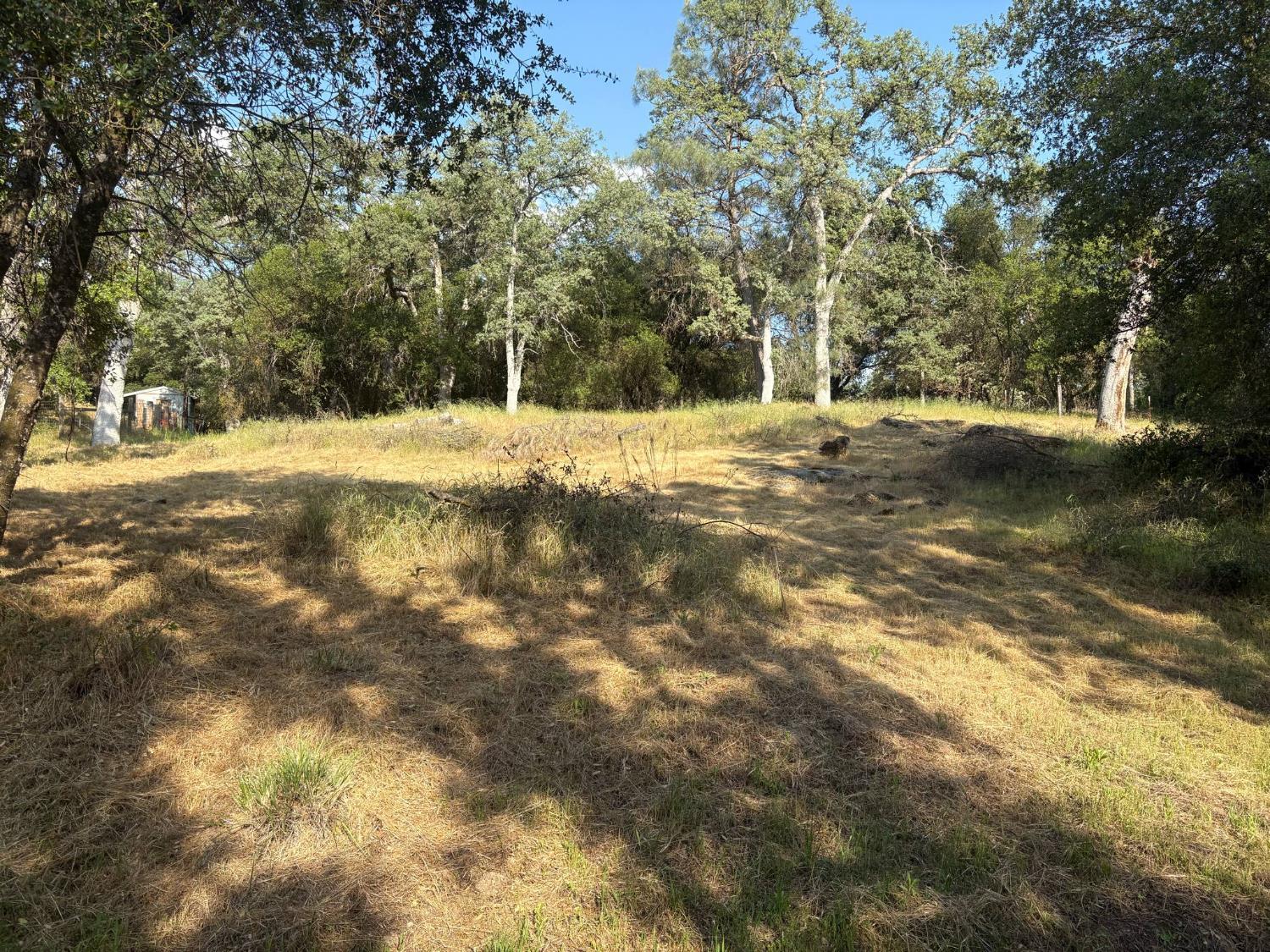 507 Chickasaw Road Coarsegold, CA 93614 - Photo 5 of 9 a view of yard with trees