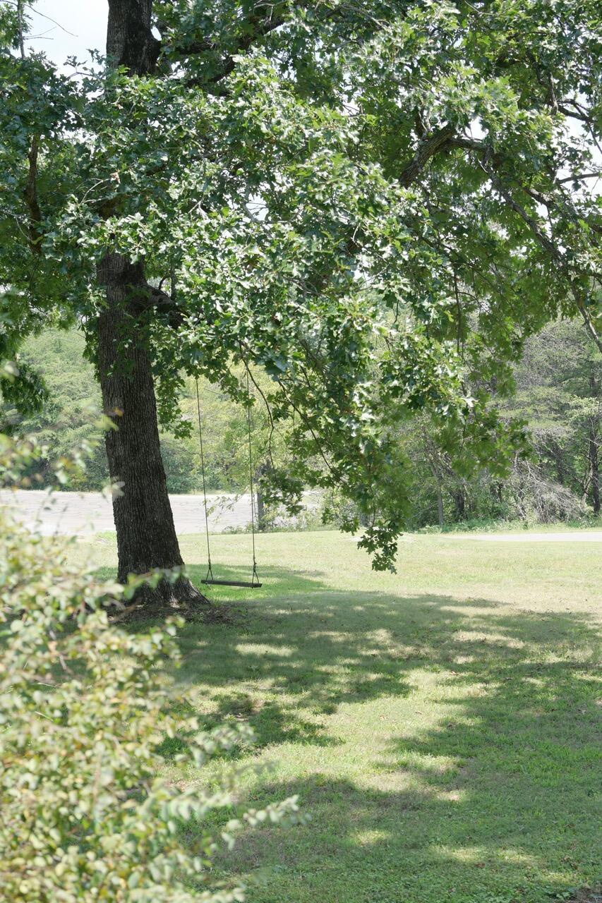 1654 Morgan Springs Road Dayton, TN 37321 - Photo 32 of 33 DSC_1487