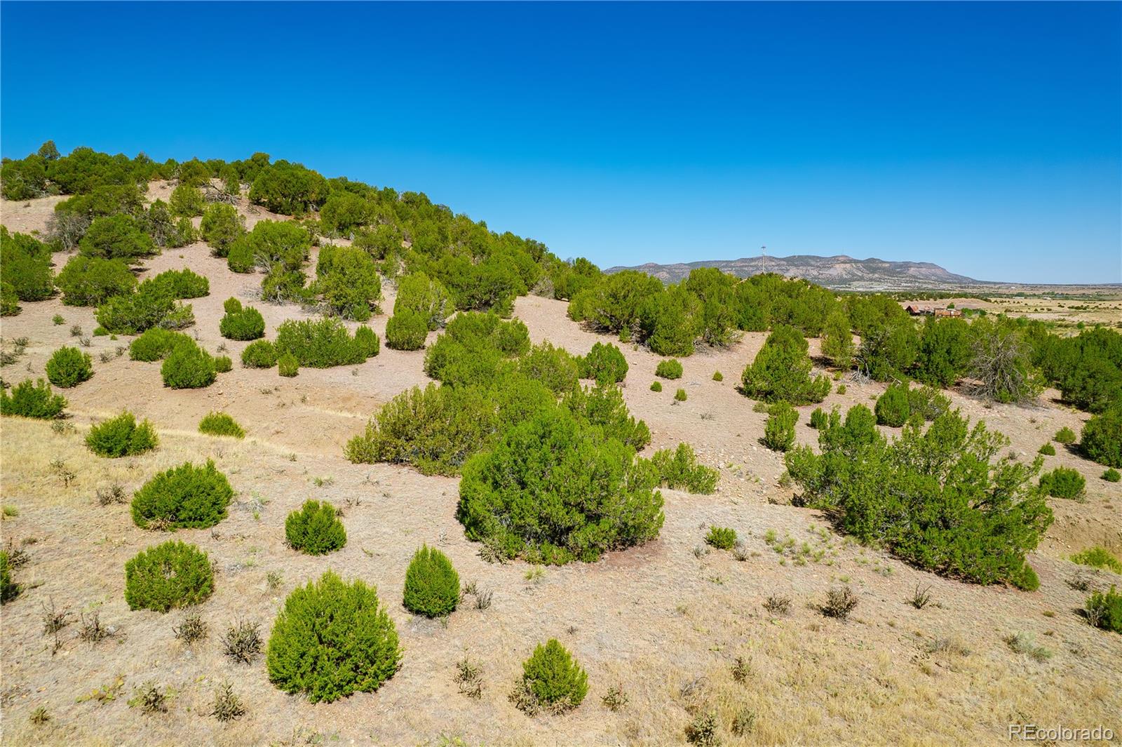 37300 Kunzite Road Trinidad, CO 81082 - Photo 27 of 35