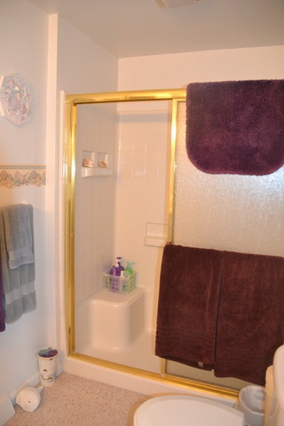 636 Reynoldswood Road Dixon, IL 61021 - Photo 16 of 25 a bathroom with a bathtub and shower