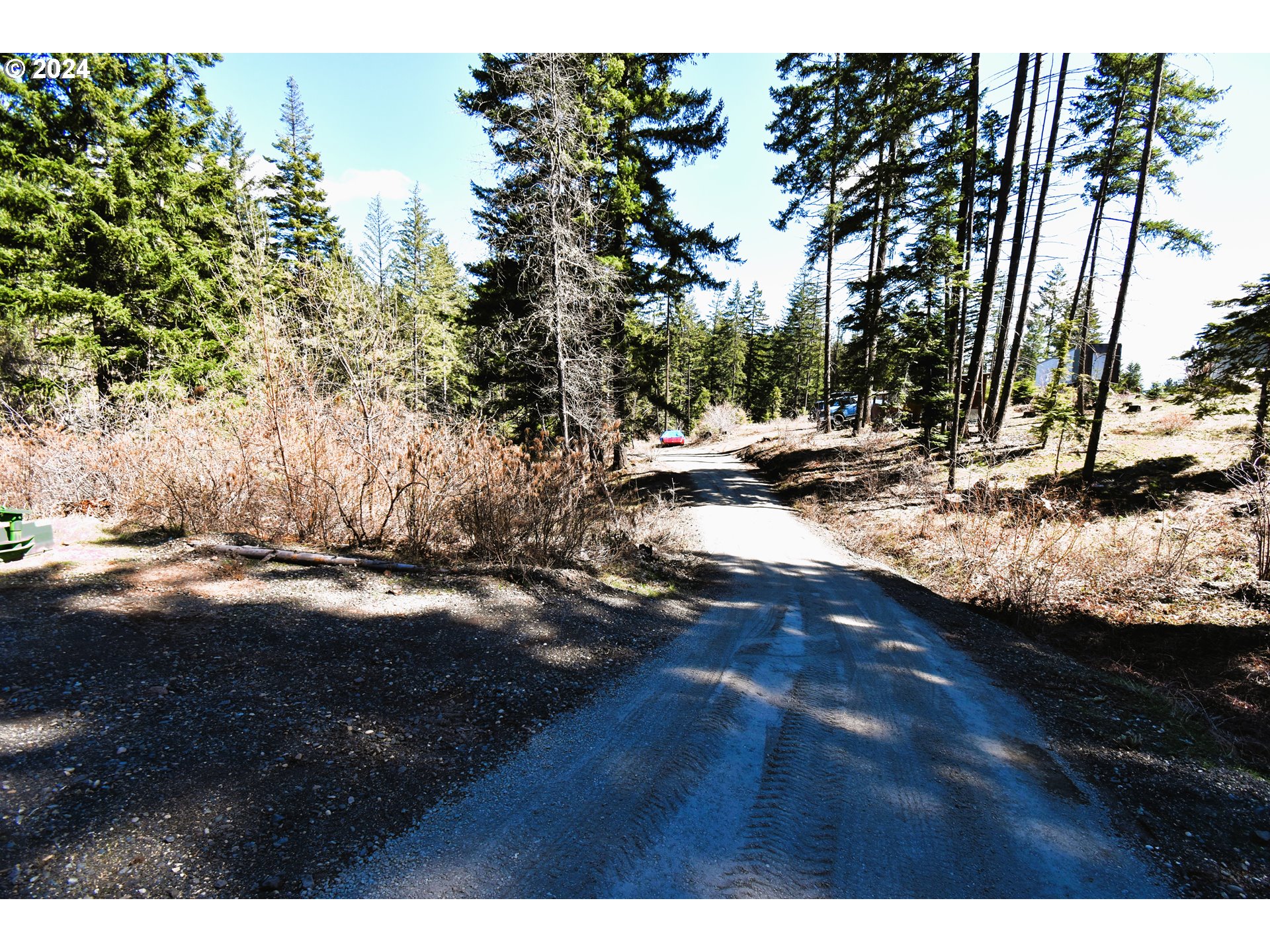 585 Canyon Road Lyle, WA 98635 - Photo 46 of 48 Driveway