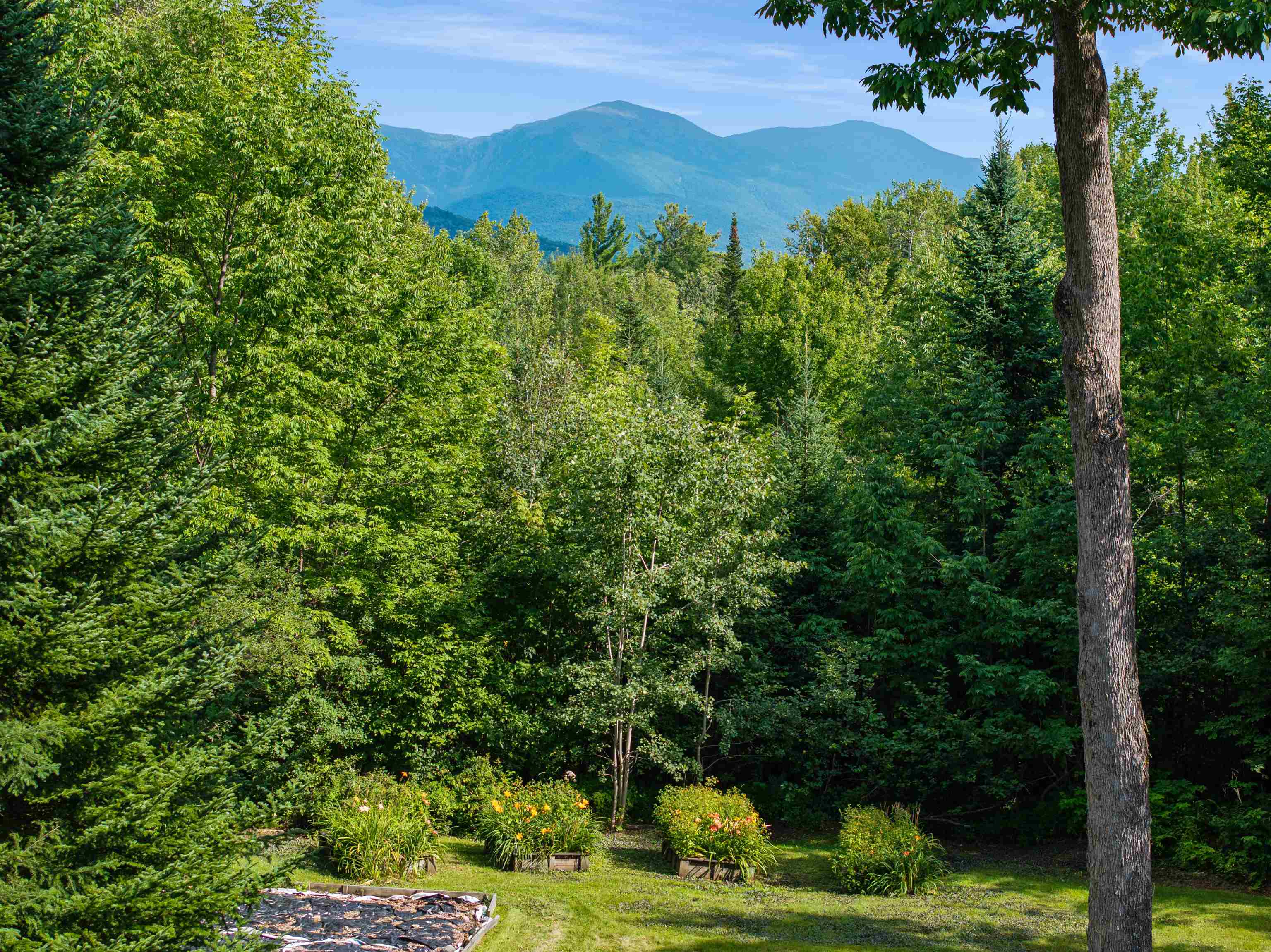 78 Ingerson Road Jefferson, NH 03583 - Photo 16 of 56 Gallery Image 16