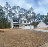 1001 Bion Butler Road Aberdeen, NC 28315 - Photo 1 of 7 dmbzdrsr